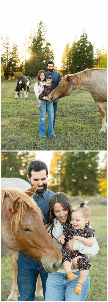 family session with horses