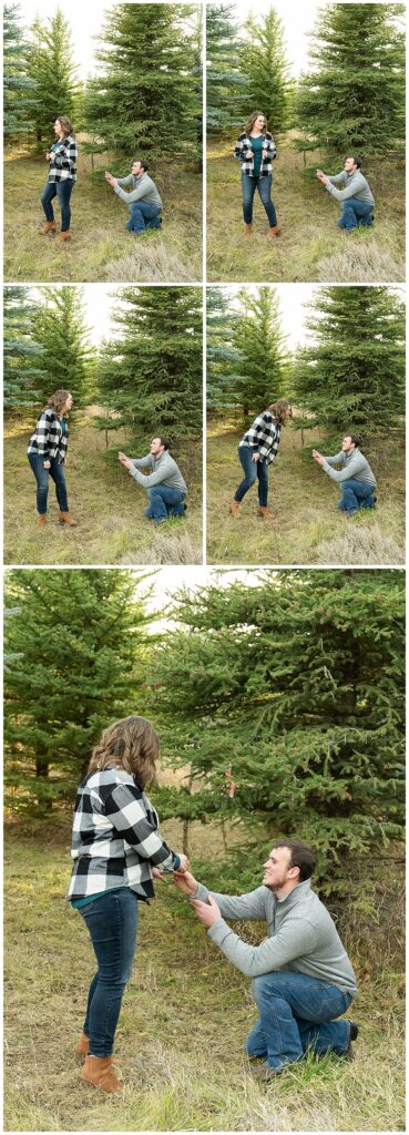 surprise proposal at a Christmas tree farm in Idaho Falls